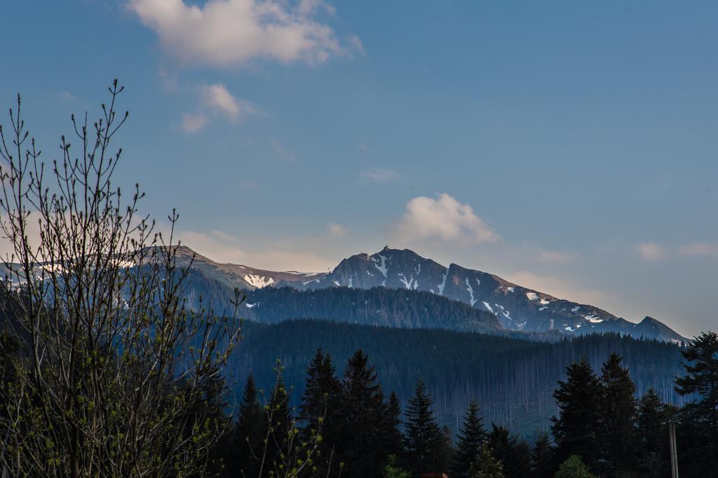 Willa Stachoniowka 2 Zakopane Exterior foto